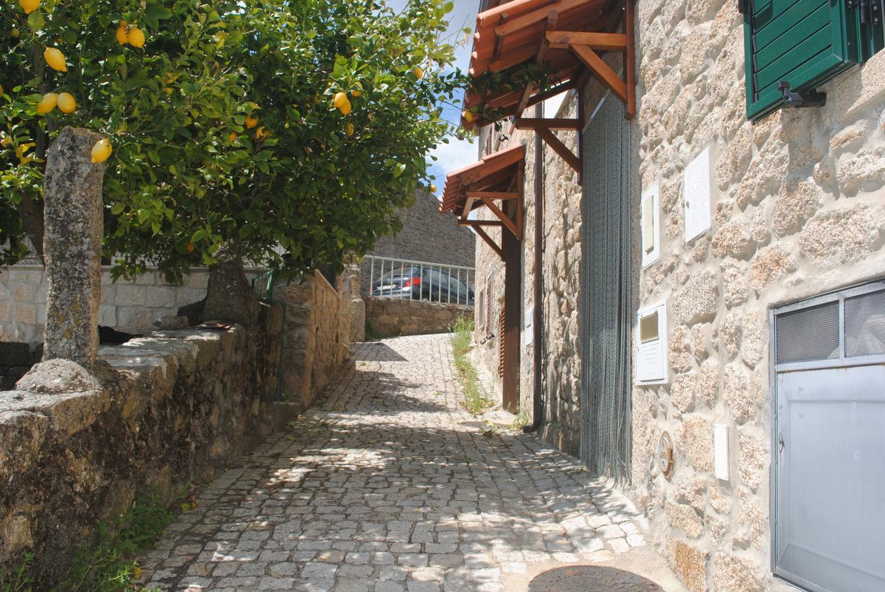 Вилла Moradia Familia Escoto Монсанту Экстерьер фото